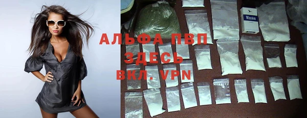 прущий лед Михайлов
