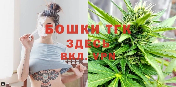 молекула духа Медвежьегорск