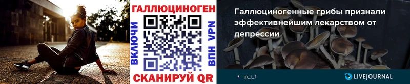 Псилоцибиновые грибы MAGIC MUSHROOMS MEGA как зайти Починок